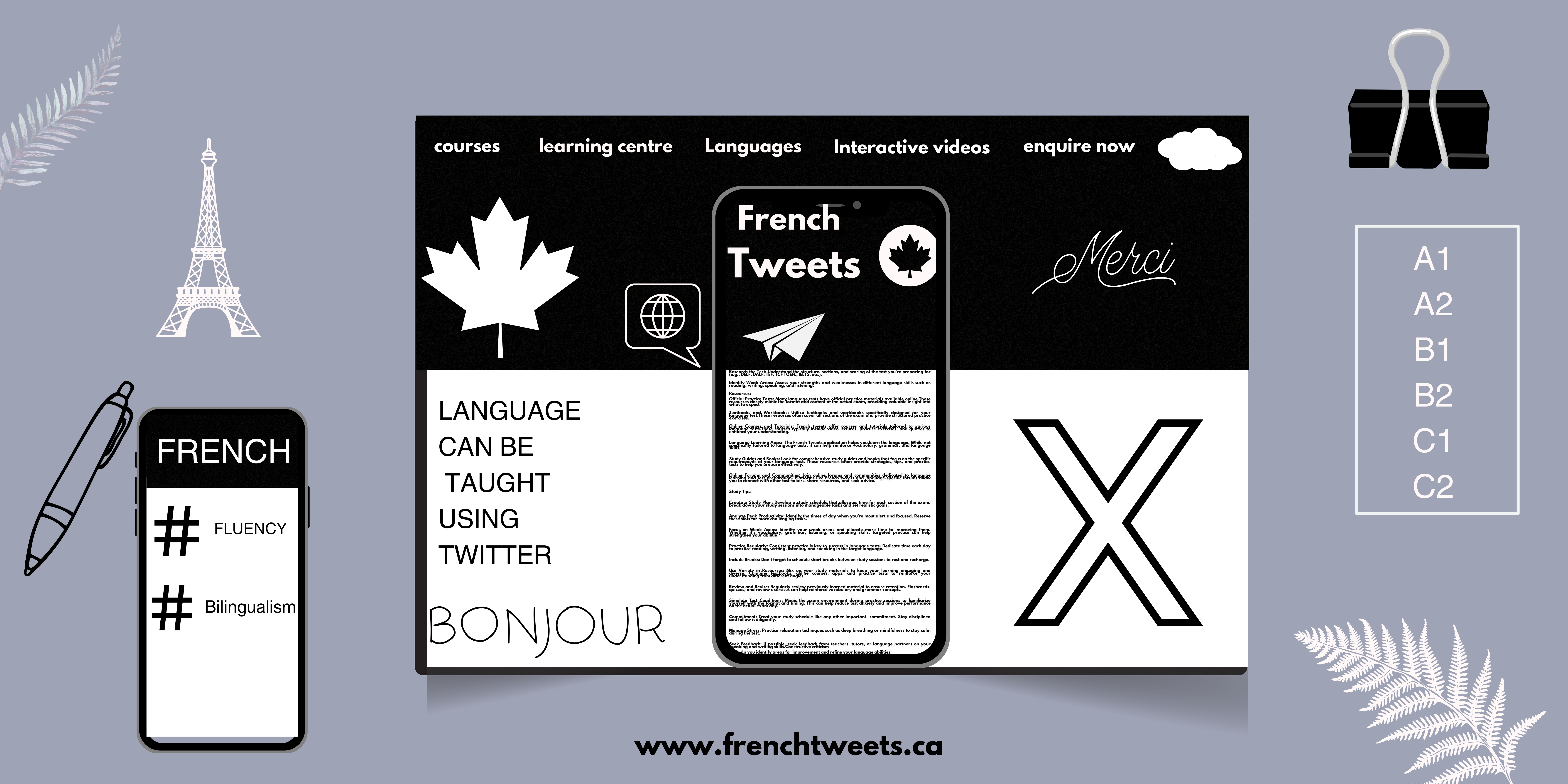 Tweeting Towards Bilingualism: French Tweets for language learners